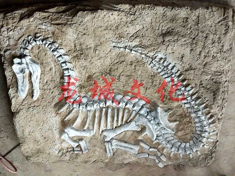 1.5米仿真恐龙化石挖掘现场