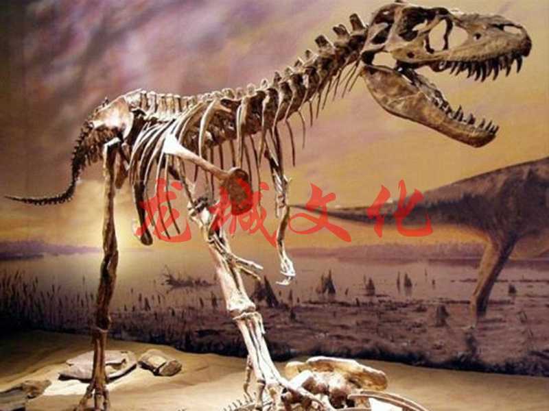 仿真恐龙化石——霸王龙