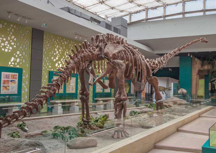 仿真恐龙化石——迷惑龙化石
