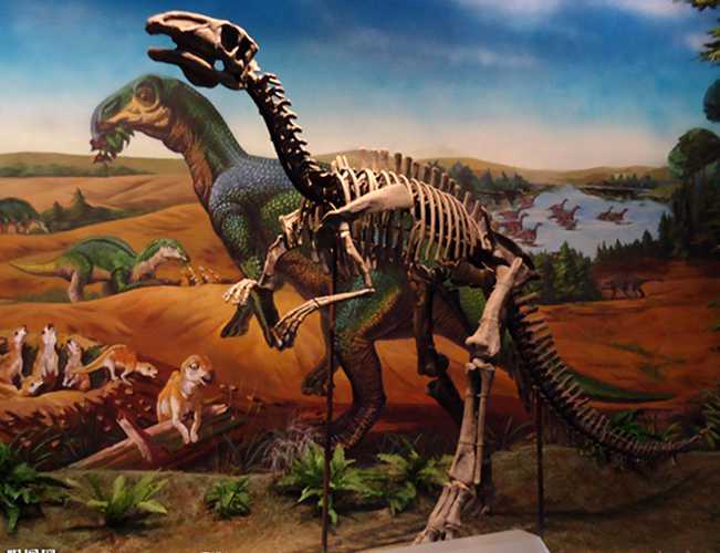 仿真恐龙化石——气龙化石